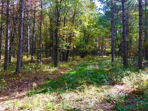 7508 350th Street, Cushing, MN 56443