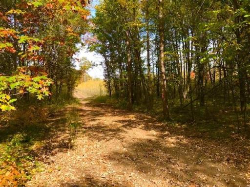 7508 350th Street, Cushing, MN 56443