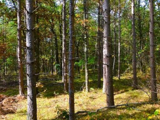 7508 350th Street, Cushing, MN 56443