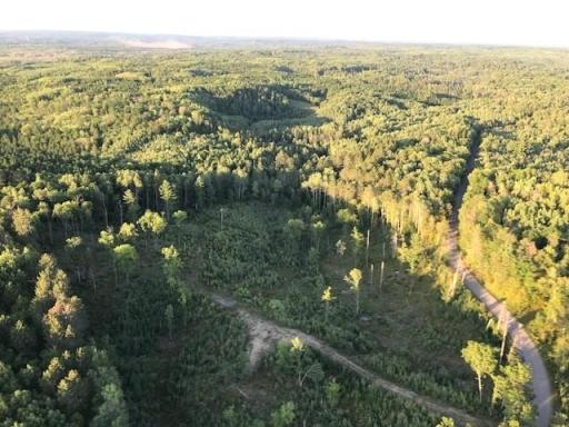 7508 350th Street, Cushing, MN 56443