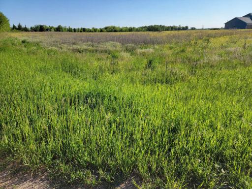 Country views right out your future back window. Book your showing today!