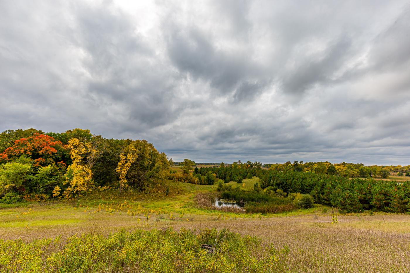 MLS 6442135 | Michael T Carlson