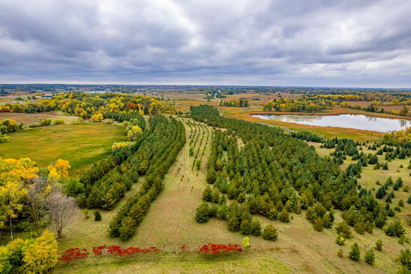 MLS 6442135 | Michael T Carlson