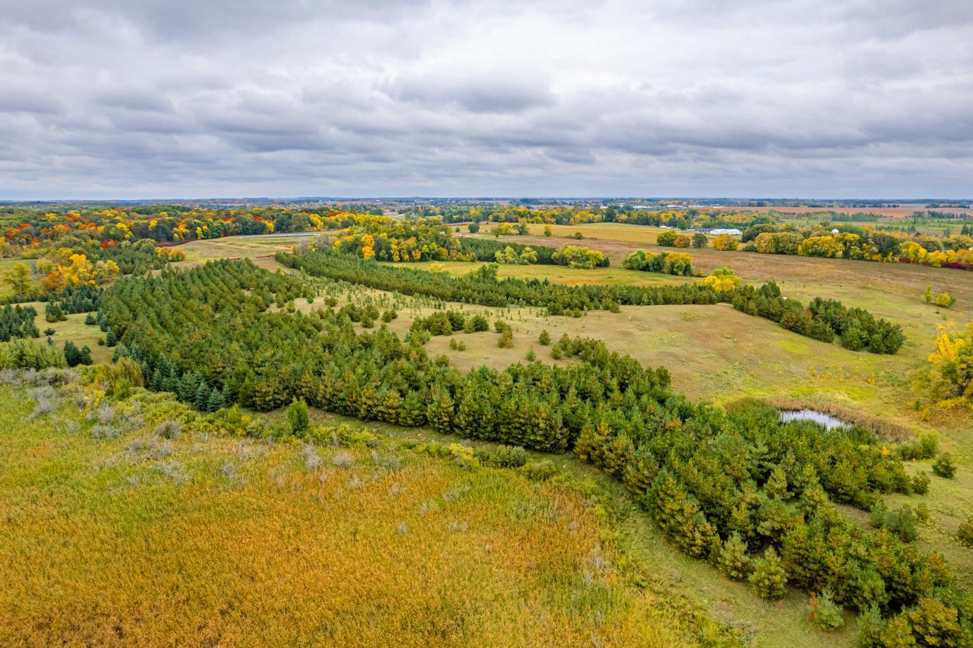 MLS 6442135 | Michael T Carlson