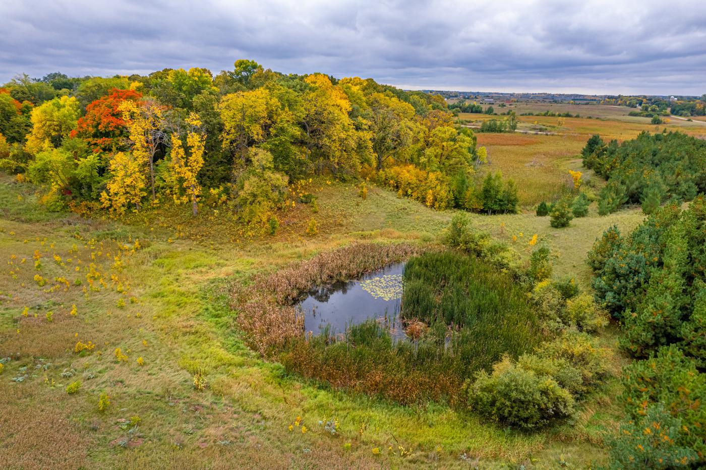 MLS 6442135 | Michael T Carlson