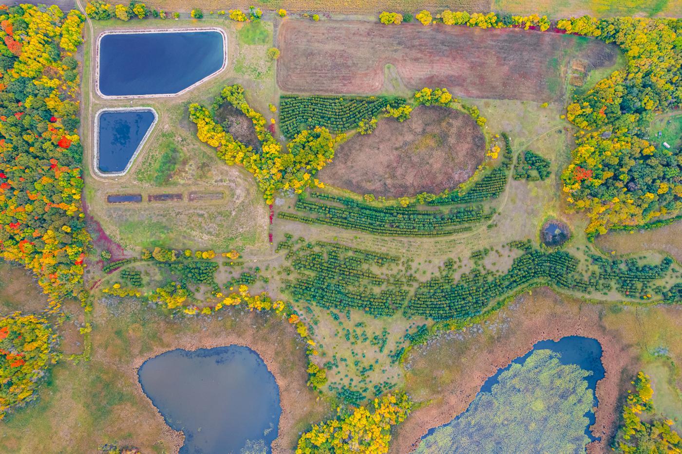 MLS 6442135 | Michael T Carlson