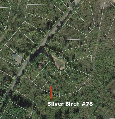 Lot 78 Silver Birch Trailway, Danbury, WI 54830
