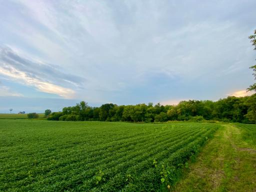 6225 11th Avenue SW, Rochester, MN 55902