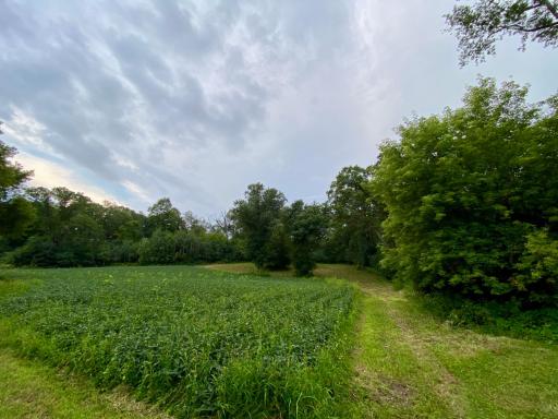 6225 11th Avenue SW, Rochester, MN 55902