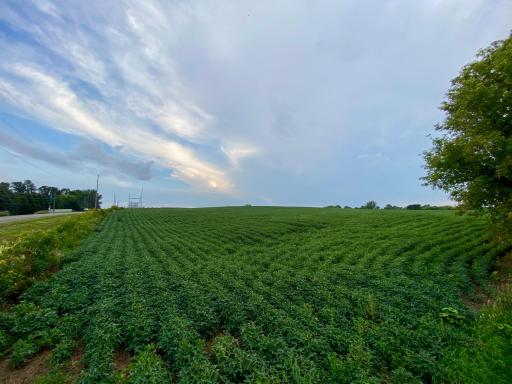 6225 11th Avenue SW, Rochester, MN 55902