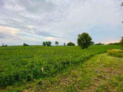 6225 11th Avenue SW, Rochester, MN 55902