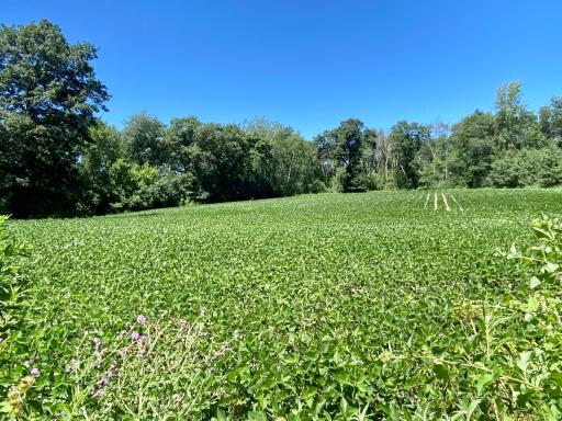 6225 11th Avenue SW, Rochester, MN 55902