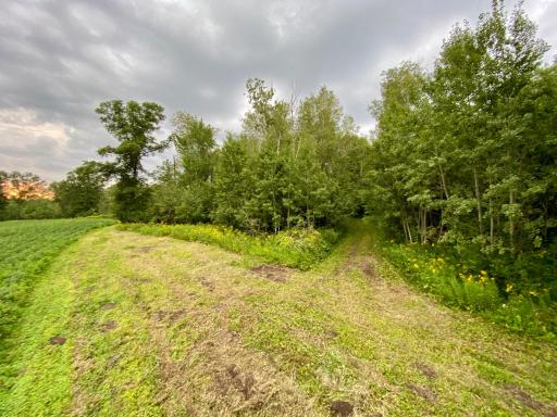 6225 11th Avenue SW, Rochester, MN 55902