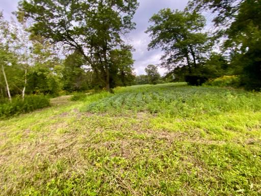 6225 11th Avenue SW, Rochester, MN 55902