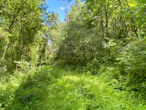 6225 11th Avenue SW, Rochester, MN 55902