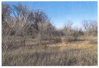 543 N Big Lake Marketplace N, Big Lake, MN 55309
