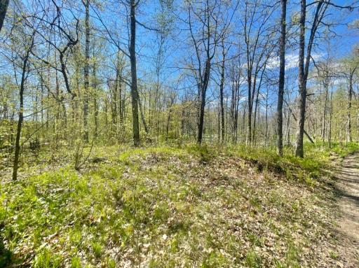 Photo for Lot 11 Eagle Claw Lane NE, Boy River, MN 56672 - Listing #6265153 Lot 11 Eagle Claw Lane NE, Boy River, MN 56672