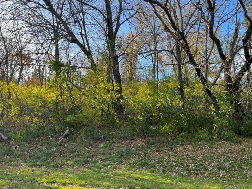 XXXX 18th Street SW, Rochester, MN 55902