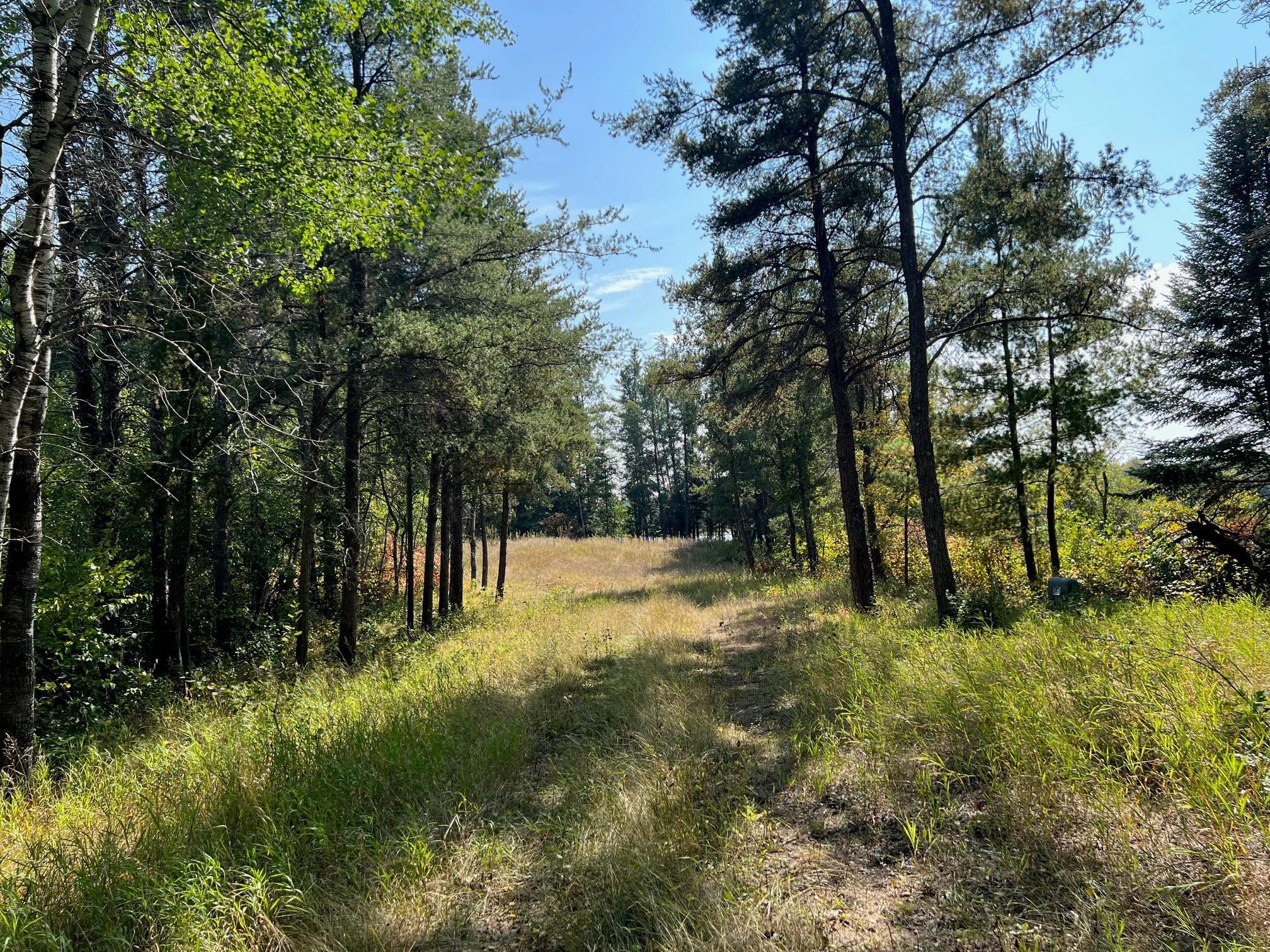 Photo for 10344 Grant Creek Road NW, Bemidji, MN 56601 - Listing #6436156 10344 Grant Creek Road NW, Bemidji, MN 56601