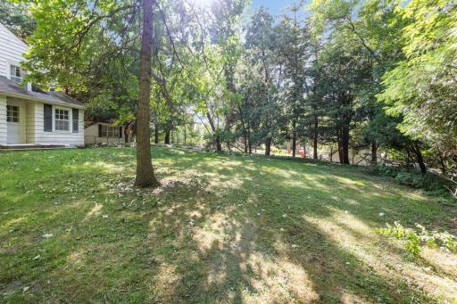 Trees and brush have been removed/cleaned up since these photos