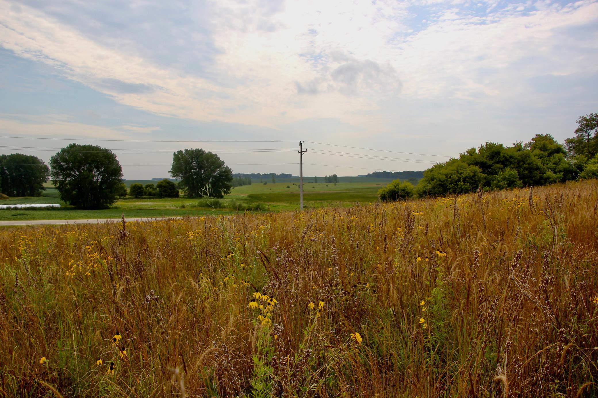 Tract 2 Pic 9.JPG
