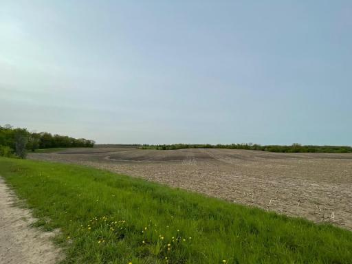 8100 Strehler Road, Hamel, MN 55340
