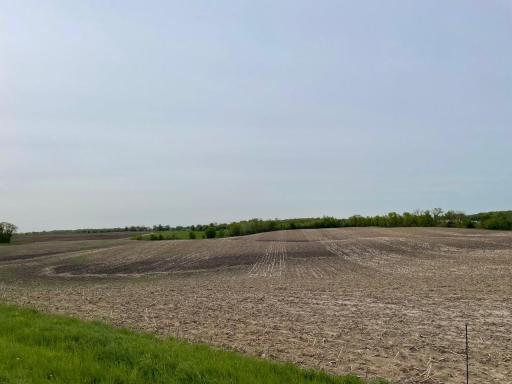 8100 Strehler Road, Hamel, MN 55340