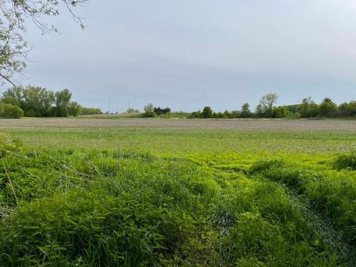 8100 Strehler Road, Hamel, MN 55340