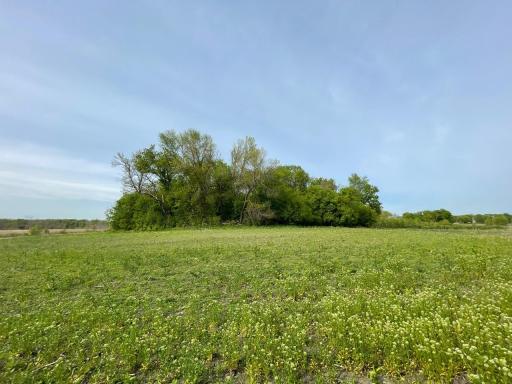 8100 Strehler Road, Hamel, MN 55340