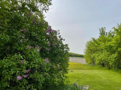 8100 Strehler Road, Hamel, MN 55340