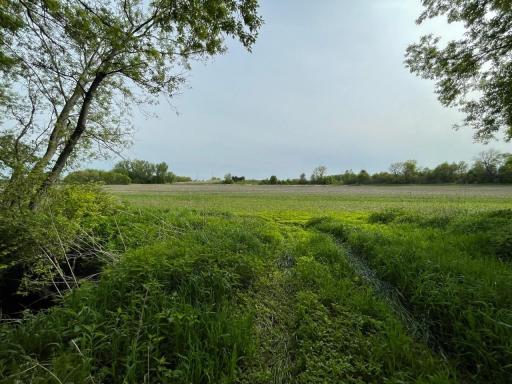 8100 Strehler Road, Hamel, MN 55340
