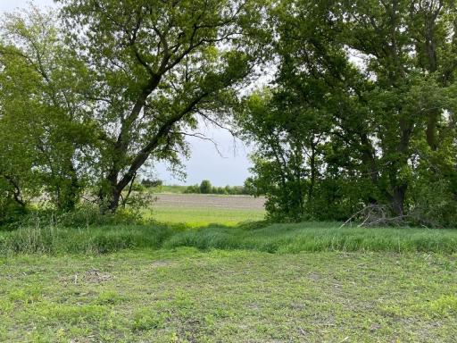 8100 Strehler Road, Hamel, MN 55340