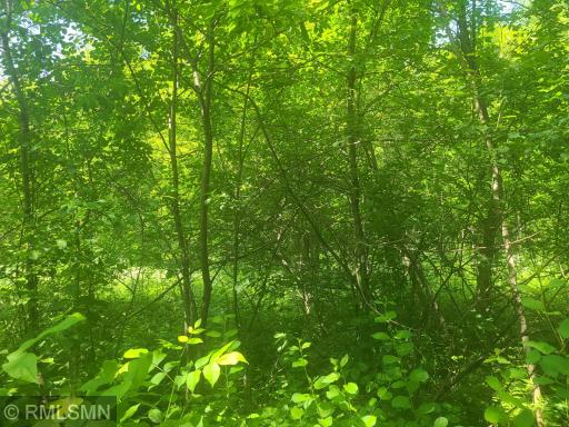 xxx Lot 1 2nd Ave NW, Milltown, WI 54858
