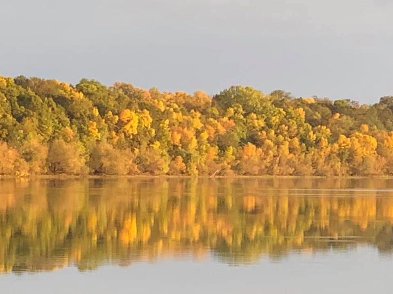 You will fall in love with the beauty of French Lake. This area is filled with wildlife! You will frequently see deer and turkeys in the area. There is also an eagle's nest nearby who frequently visits the lake.