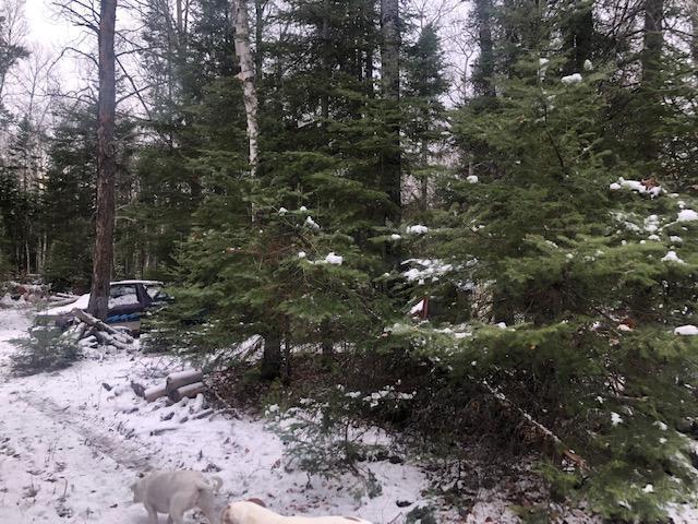 Photo for TBD Hunters Pass, Tower, MN 55790 - Listing #6130204 TBD Hunters Pass, Tower, MN 55790