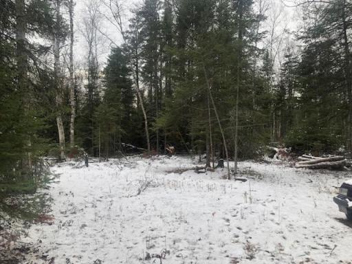 TBD Hunters Pass, Tower, MN 55790