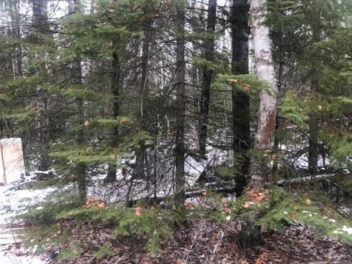 TBD Hunters Pass, Tower, MN 55790