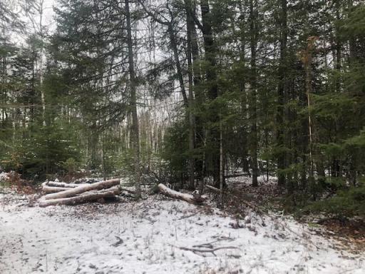 TBD Hunters Pass, Tower, MN 55790