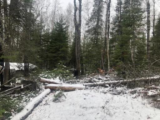 TBD Hunters Pass, Tower, MN 55790