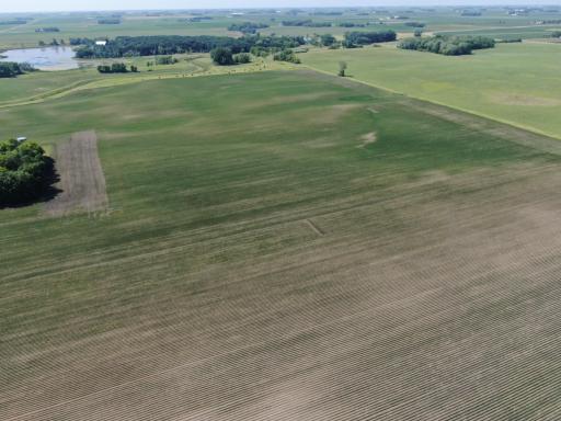 DJI_0274.JPG
