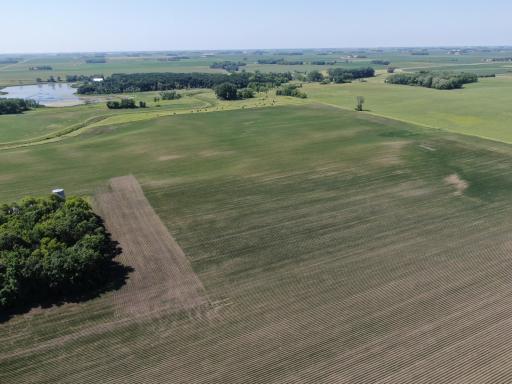 DJI_0276.JPG