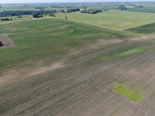 DJI_0273.JPG