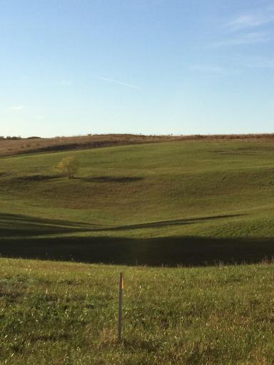 B1 L002 Eagle Landing Road, Audubon, MN 56511