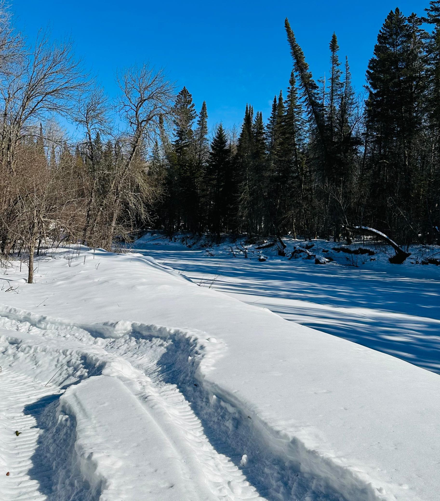 Photo for XXX County Road 30, Big Falls, MN 56627 - Listing #6332219 XXX County Road 30, Big Falls, MN 56627