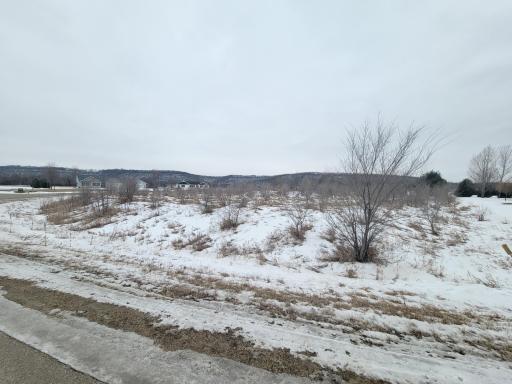 Photo for TBD Pepin Vista Ave, Lake City, MN 55041 - Listing #6155229 TBD Pepin Vista Ave, Lake City, MN 55041