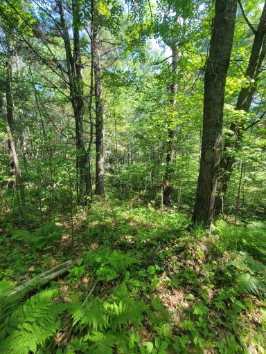 TBD Wendigo, Grand Rapids, MN 55744