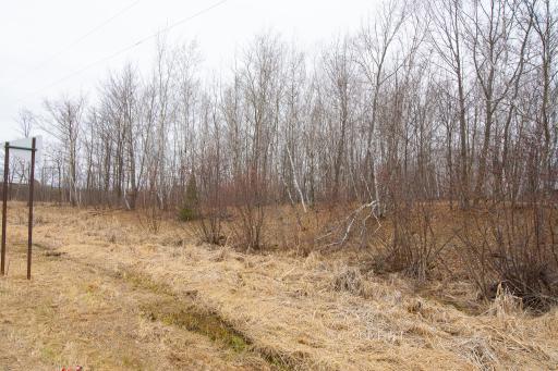 Build your cabin or home here!