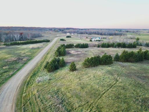 Abundant Deer Trails