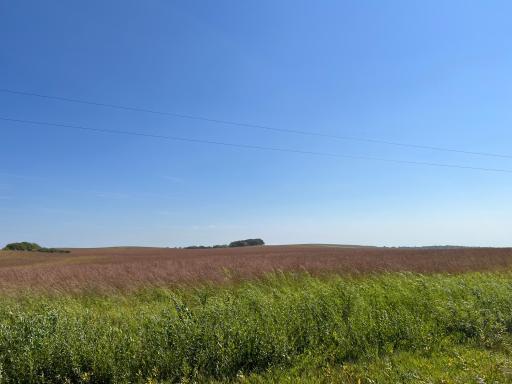 10937 County Road 15 SW, Kensington, MN 56343