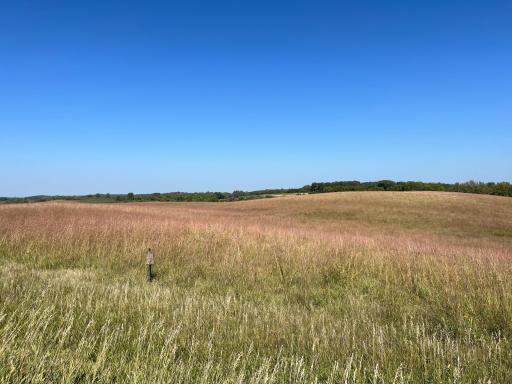 10937 County Road 15 SW, Kensington, MN 56343